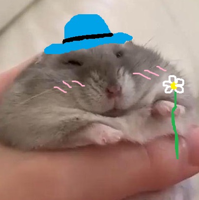 biscuit