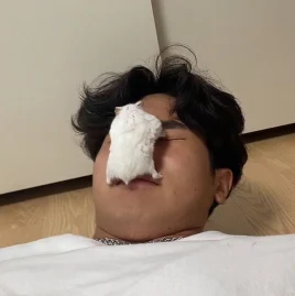 Justin Han Tiktok ads