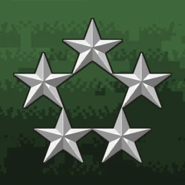 Rank Insignia Tiktok ads