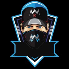 LevelUpLion.raidrush