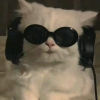 outdoors_lover Tiktok ads