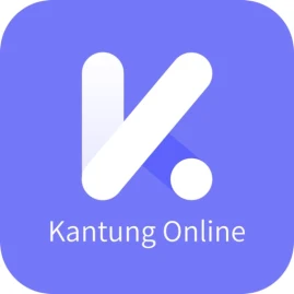 Kantung Online Tiktok ads