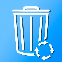 Backup Manager Tiktok ads