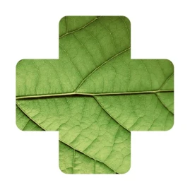 Plant Disease Identifier. Tiktok ads