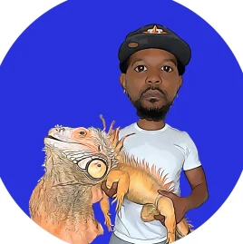 RocketTheIggy Tiktok ads