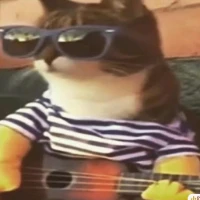 ToolsManJason Tiktok ads