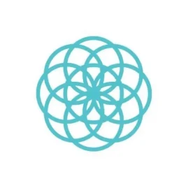 Snowball Wealth Tiktok ads