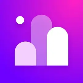 Ig Followers Reports Tiktok ads