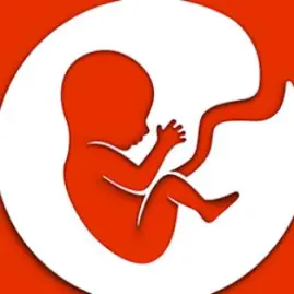 BitLife - Life Simulator Tiktok ads