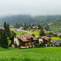 tuji.girl Tiktok ads