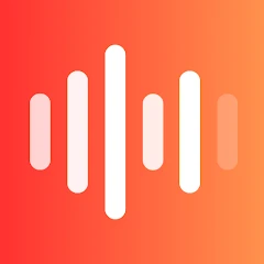 Voice Recorder Pro & Memos Tiktok ads