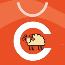 Chicpoint Tiktok ads