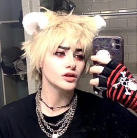 🕸 shane 🕸 Tiktok ads