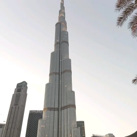 Amanibloggs Tiktok ads