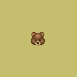 抹茶🐻🍵 Tiktok ads