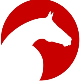 ClipMyHorse.TV Tiktok ads