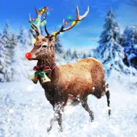 Hunting Clash: Call of Hunter Tiktok ads