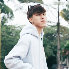 Daniel Loo Tiktok ads