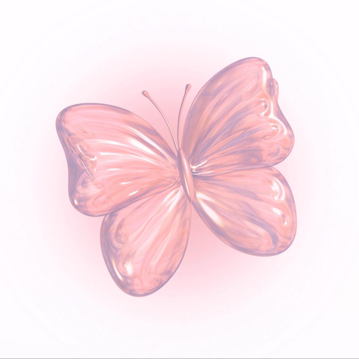 starrynight 🐈‍⬛🌙