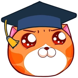 VUIHOC: Học online từ lớp 1-12 Tiktok ads