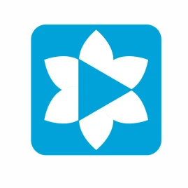 biitit official Tiktok ads