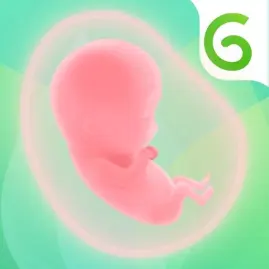 Nurture Pregnancy Week by Week Tiktok ads