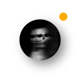 PREQUEL: Photo Filters & Videos Effects Tiktok ads