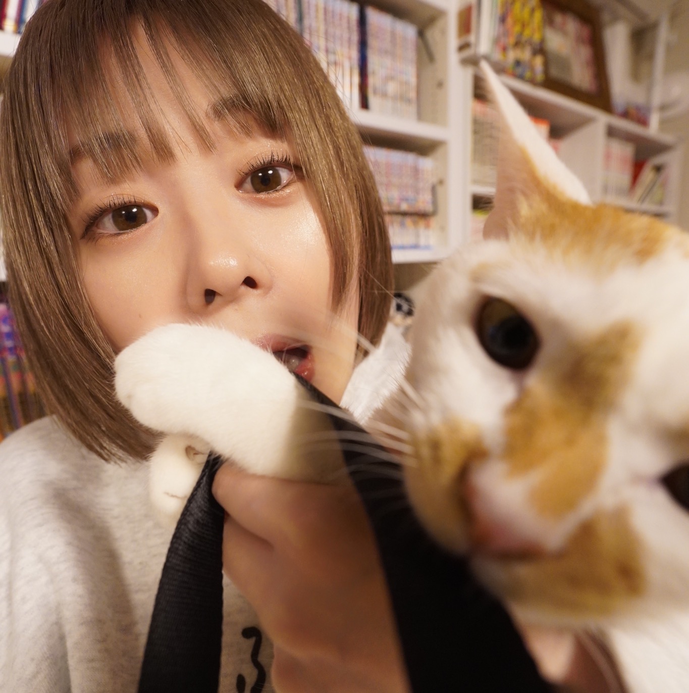 神堂きょうか🐸