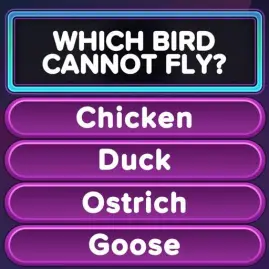 Trivia Star: Trivia Games Quiz Tiktok ads