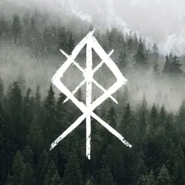 Viking Rise Tiktok ads