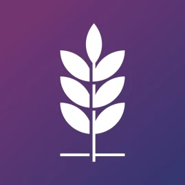 Binar Academy Tiktok ads