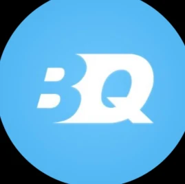 BQ Auctions Tiktok ads