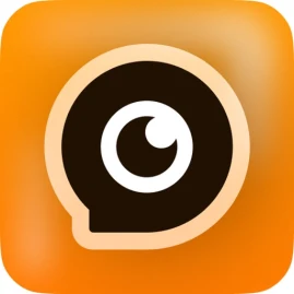 ReportIn+ Followers Reports Tiktok ads