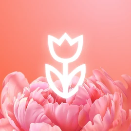 Flowwow_es Tiktok ads