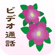 ビデオ通話 やすらぎ - マッチングアプリ Tiktok ads