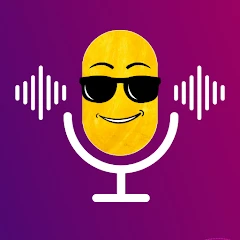 Voice Changer: Audio Effect Tiktok ads