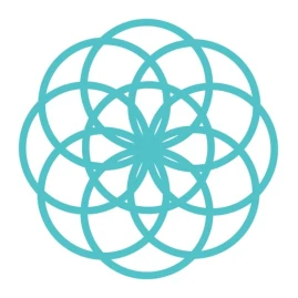 Snowball Wealth Tiktok ads