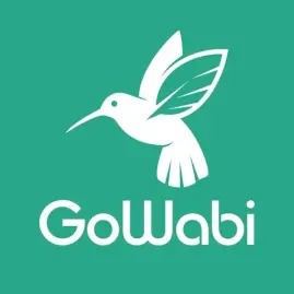 GoWabi - Beauty & Wellness Tiktok ads