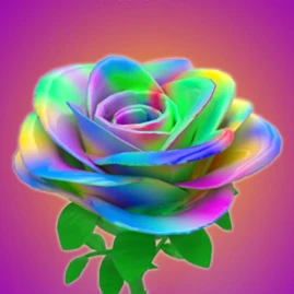 Rainbow Flowers DIY Tiktok ads