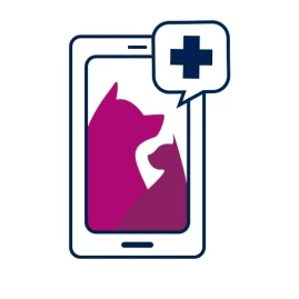 Pawlyclinic Tiktok ads