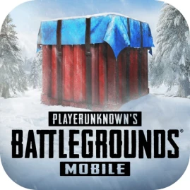 배틀그라운드 Tiktok ads