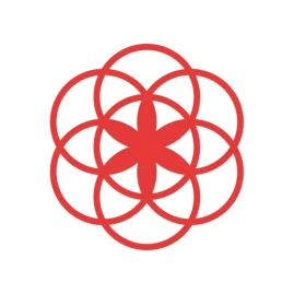 Clue Period & Cycle Tracker Tiktok ads