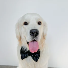 Rio_thegolden Tiktok ads