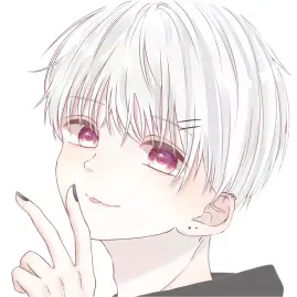 りぃちょくん Tiktok ads