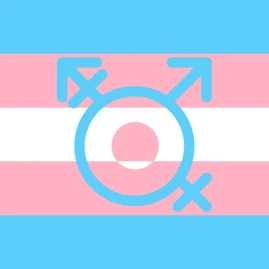 Video Chat with Trans - TranX Tiktok ads