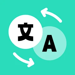 Translate Now - camera trans Tiktok ads