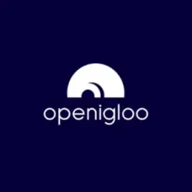 openigloo: NYC Rental Reviews Tiktok ads