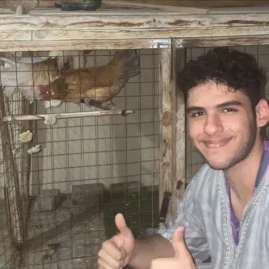 Omar beltagi Tiktok ads