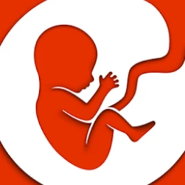 BitLife - Life Simulator Tiktok ads