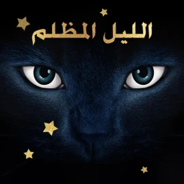 الليل الأسود Tiktok ads